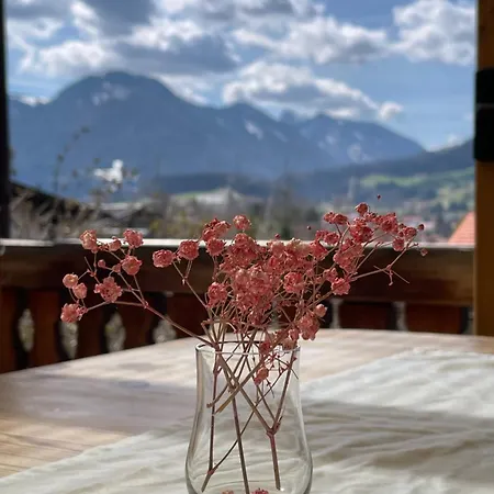 Grosszuegige Gimpl Kathi Mit Bergblick Διαμέρισμα